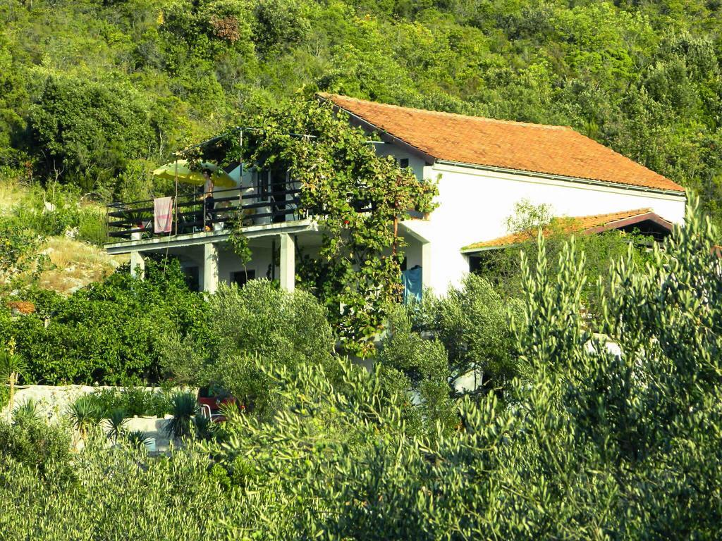 Bed and Breakfast Bellavista Peljesac Peninsula à Dubrava  Chambre photo
