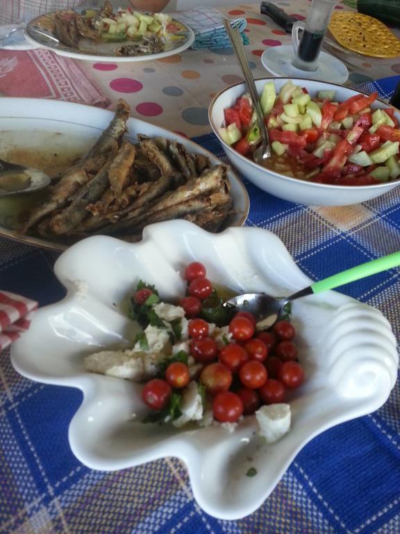 Bed and Breakfast Bellavista Peljesac Peninsula à Dubrava  Extérieur photo